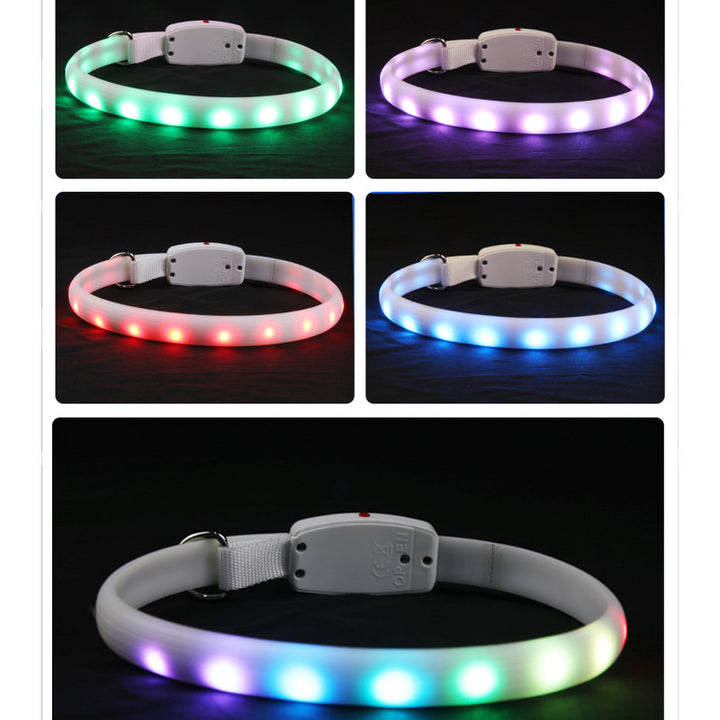 LED-Hundehalsband