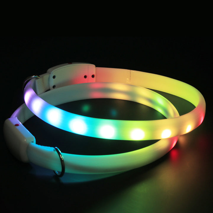 LED-Hundehalsband